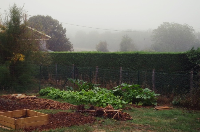 jardin-brume-brouillard